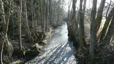 Ruisseau 